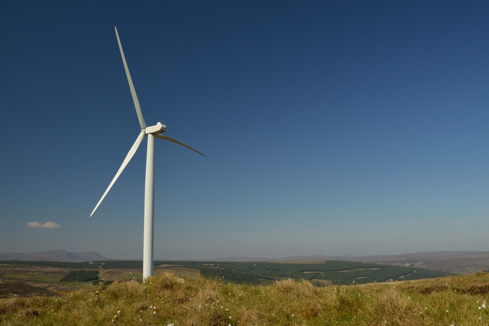 Landvindmøller ved Kilbraur Wind Farm i Sutherland, Skotland